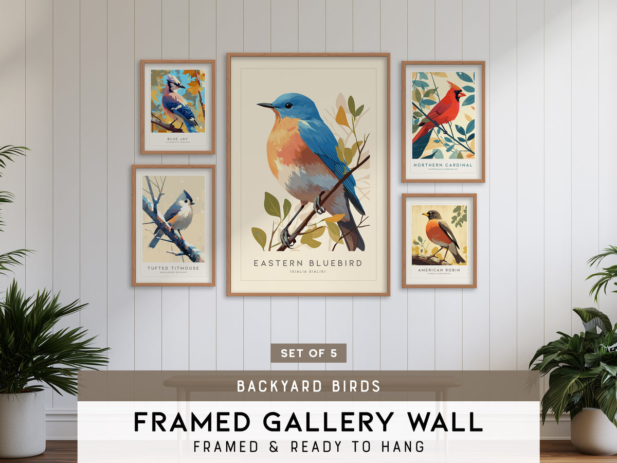 Backyard Songbirds Gallery Wall | Tufted Titmouse & Blue Jay | Set of 5 Framed Bird Prints