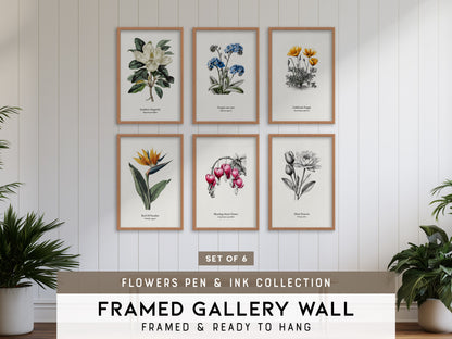 Flowers Pen & Ink Gallery Wall | Set of 6 | Botanical Prints | Gallery Wall Kit