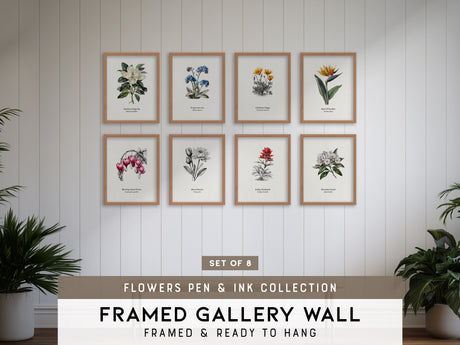 Flowers Pen & Ink Gallery Wall | Set of 8 | Botanical Prints | Bedroom Wall Art