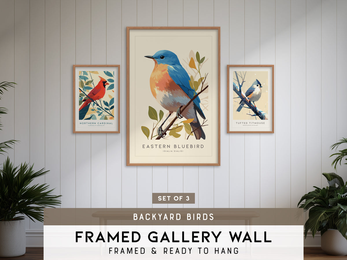 Backyard Songbirds Gallery Wall | Eastern Bluebird & Cardinal | Set of 3 Framed Bird Prints