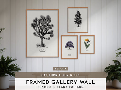 California Pen & Ink Gallery Wall | California Redwood & Jacaranda | Set of 4 Framed Prints