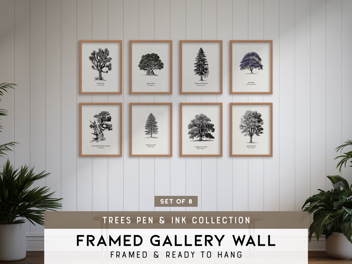 Trees Pen & Ink Gallery Wall | Ponderosa Pine | Set of 8 Matching Framed Prints