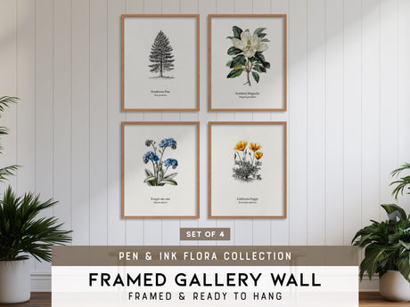 Pen & Ink Gallery Wall | Set of 4 | Pen and Ink Art | Matching Prints