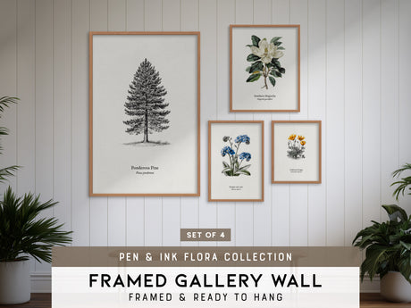 Pen & Ink Gallery Wall | Set of 4 | Pen and Ink Art | Living Room Decor