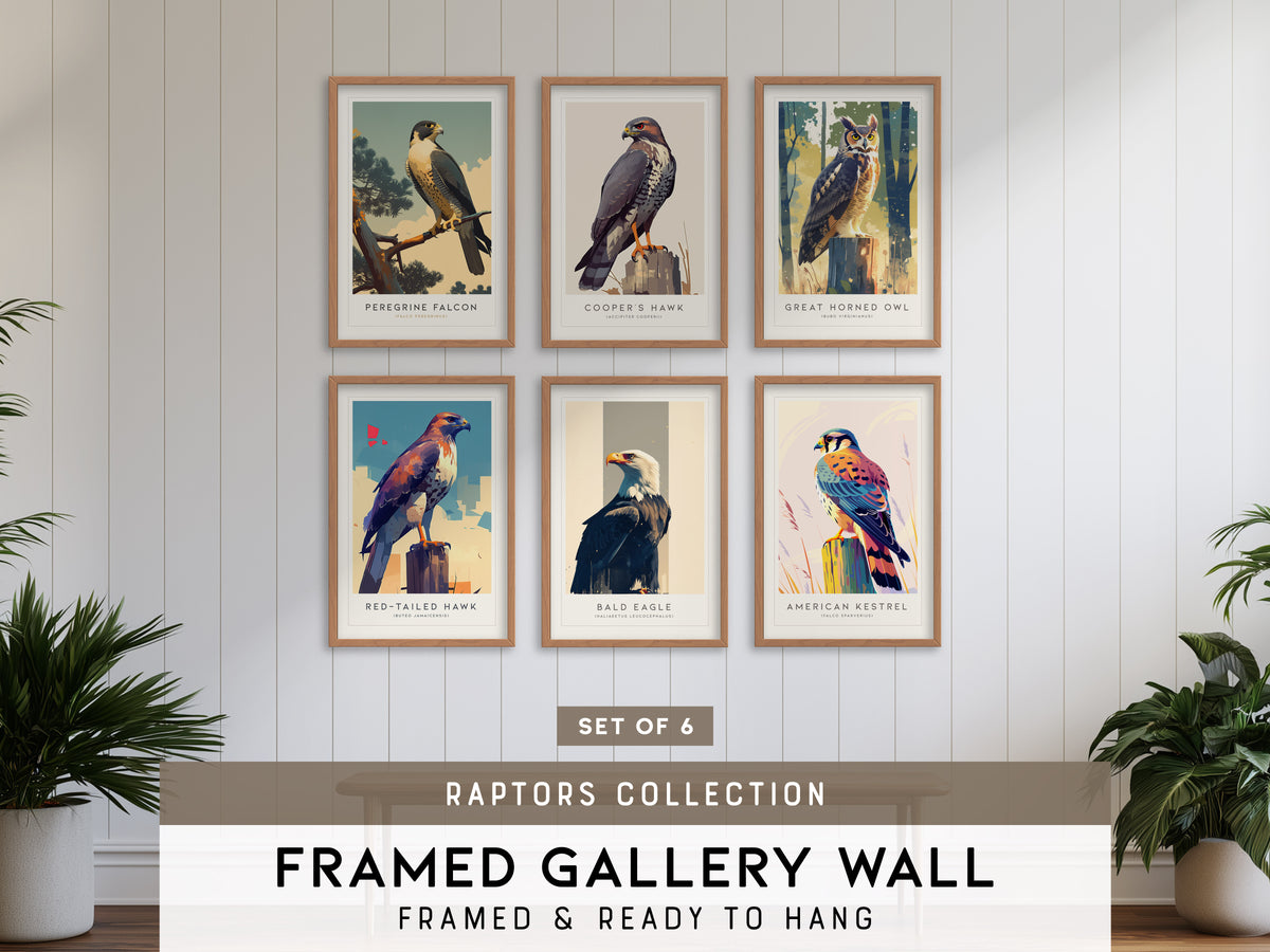 Birds of Prey - Raptors Gallery Wall | Cooper's Hawk | Set of 6 Matching Framed Bird Prints