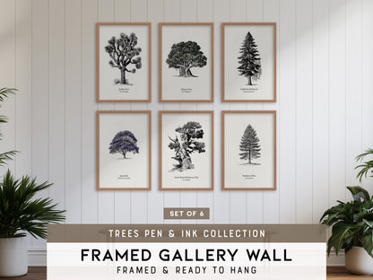 Trees Pen & Ink Gallery Wall | Banyan Tree | Set of 6 Matching Framed Prints