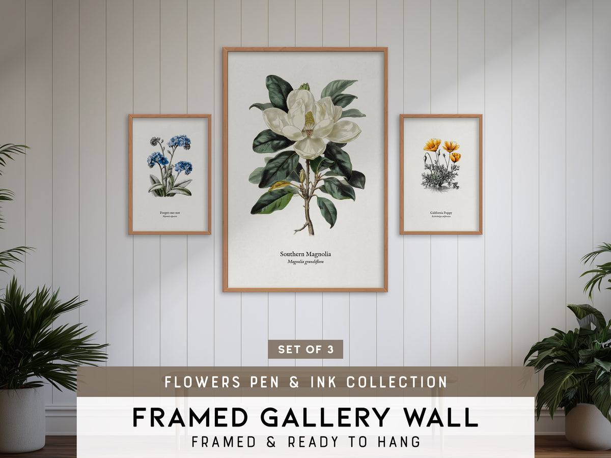 Flowers Pen & Ink Gallery Wall | Set of 3 | Botanical Prints | Housewarming Gift