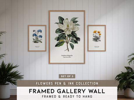 Flowers Pen & Ink Gallery Wall | Set of 3 | Botanical Prints | Housewarming Gift