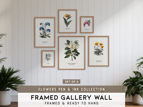 Flowers Pen & Ink Gallery Wall | Set of 6 | Botanical Prints | Mixed Size Frames