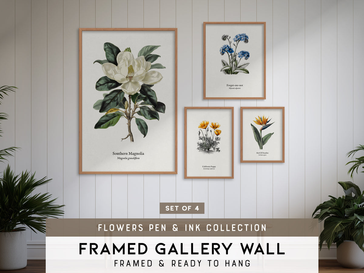 Flowers Pen & Ink Gallery Wall | Set of 4 | Botanical Prints | Living Room Decor