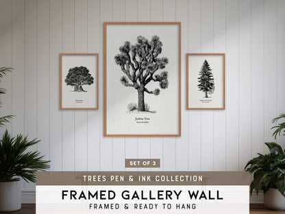 Trees Pen & Ink Gallery Wall | Joshua Tree & Banyan Tree | Set of 3 Framed Prints