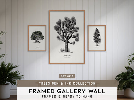 Trees Pen & Ink Gallery Wall | Joshua Tree & Banyan Tree | Set of 3 Framed Prints