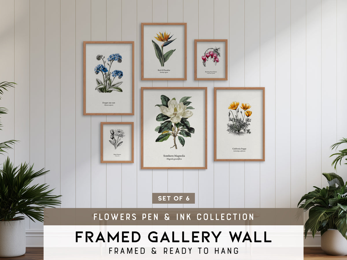 Flowers Pen & Ink Gallery Wall | Set of 6 | Botanical Prints | Mixed Size Frames