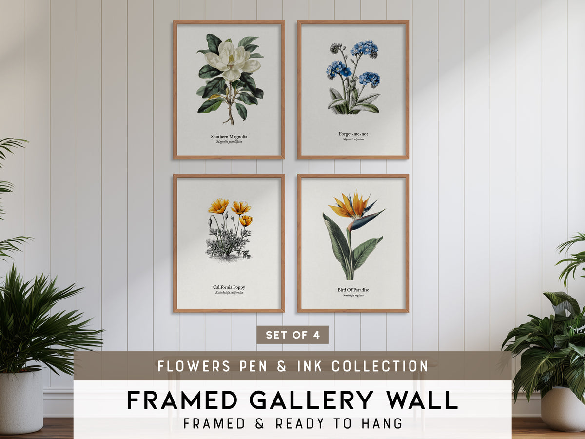 Flowers Pen & Ink Gallery Wall | Set of 4 | Botanical Prints | Matching Prints