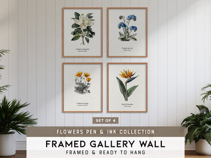 Flowers Pen & Ink Gallery Wall | Set of 4 | Botanical Prints | Matching Prints