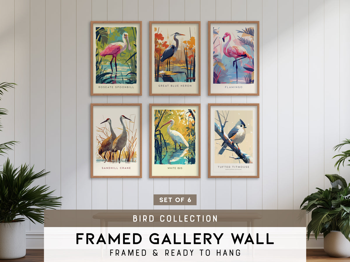 Bird Art Audubon Gallery Wall | Pick 6 Prints | Framed or Unframed