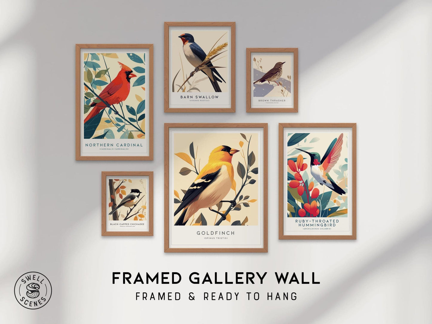 Framed Gallery Wall Bird Series 6 Birds Poster Set Birder Gift Cardinal Hummingbird Chickadee Goldfinch Audubon Print | Swell Scenes | S6-3