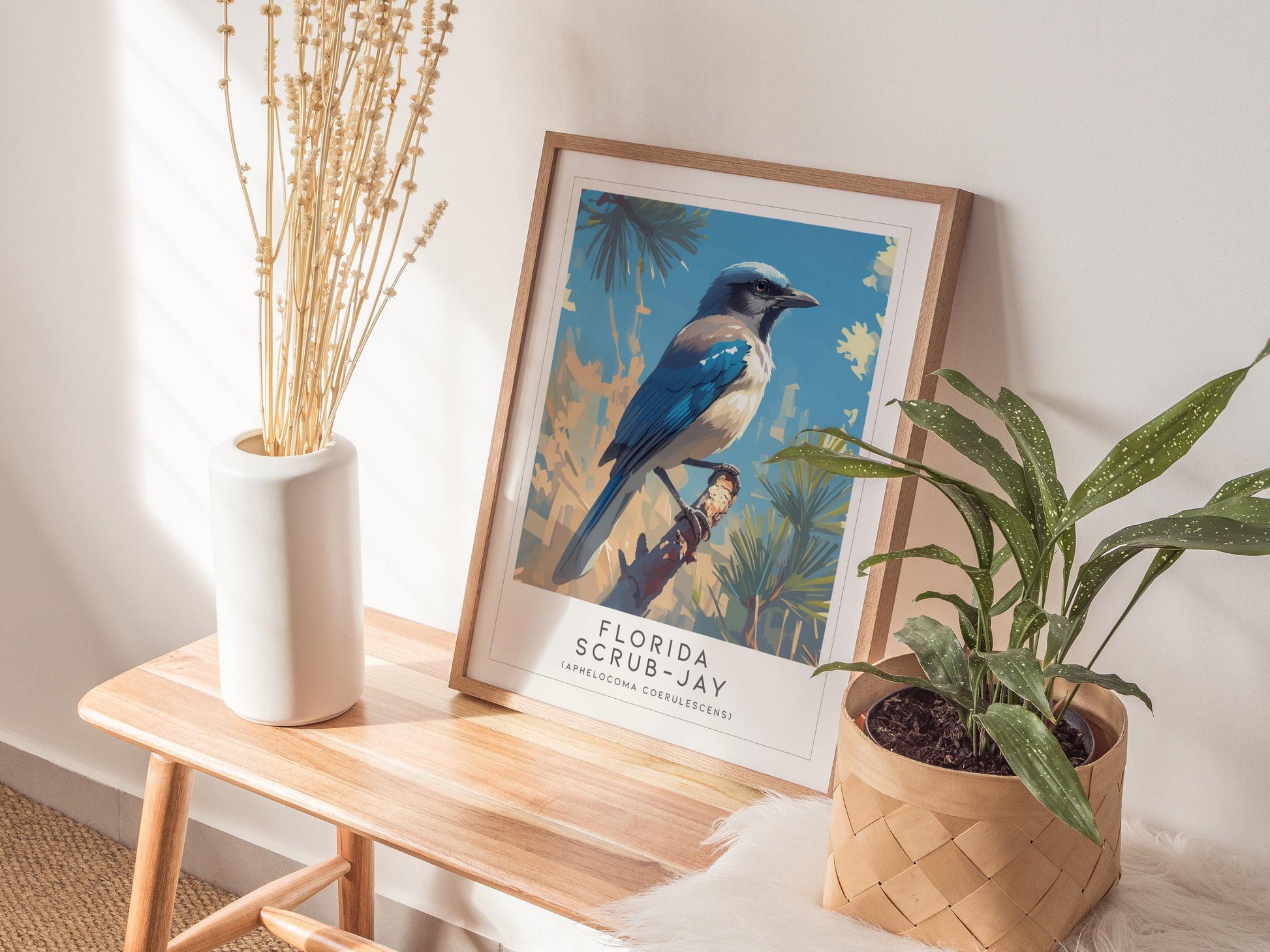 Florida Scrub Jay Poster | Audubon Bird Print Wall Art | Framed or Unframed