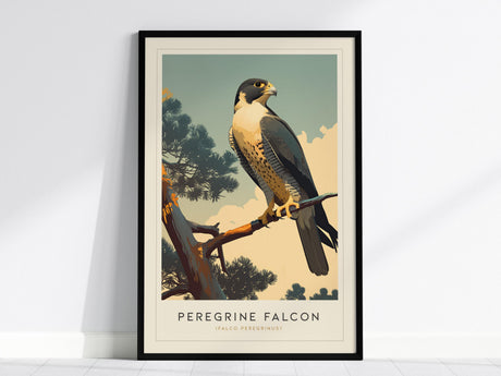 A framed poster of a Peregrine Falcon perched on a branch against a stylized sky background. The artwork features detailed plumage and the birds iconic hooded face, with text reading Peregrine Falcon at the bottom.