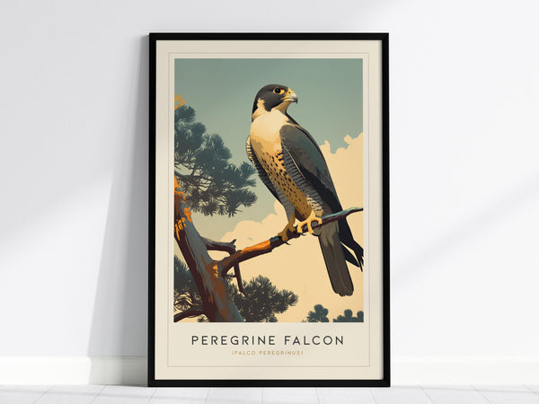 A framed poster of a Peregrine Falcon perched on a branch against a stylized sky background. The artwork features detailed plumage and the birds iconic hooded face, with text reading Peregrine Falcon at the bottom.