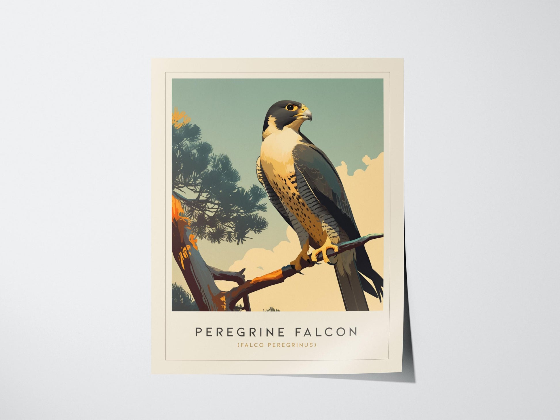 Unframed peregrine falcon bird poster on matte archival paper