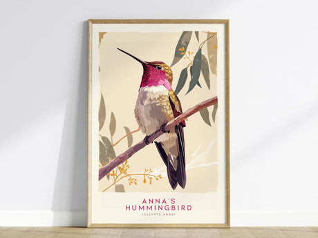 A framed poster featuring an illustration of an Annas Hummingbird perched on a branch, with vibrant magenta and green plumage. The background includes stylized leaves and flowers, adding a natural touch.