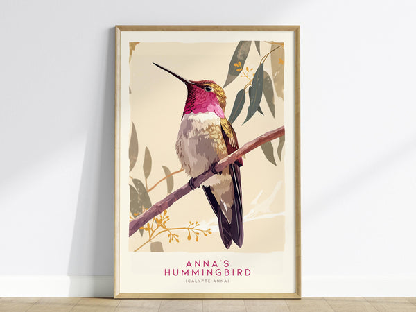 A framed poster featuring an illustration of an Annas Hummingbird perched on a branch, with vibrant magenta and green plumage. The background includes stylized leaves and flowers, adding a natural touch.