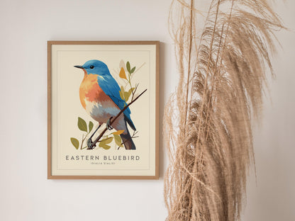 Eastern Bluebird Iconic Bird Lover Wildlife Nature Songbird Wall Art Decor Audubon Print
