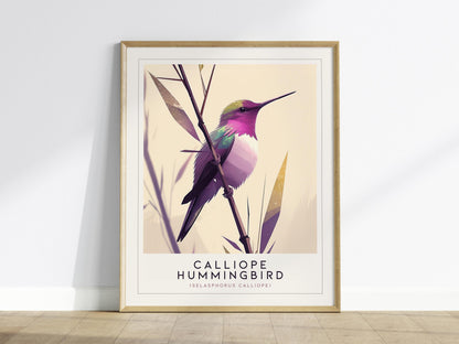 Calliope Hummingbird Audubon Print | Bird Lover Wall Art | Framed or Unframed