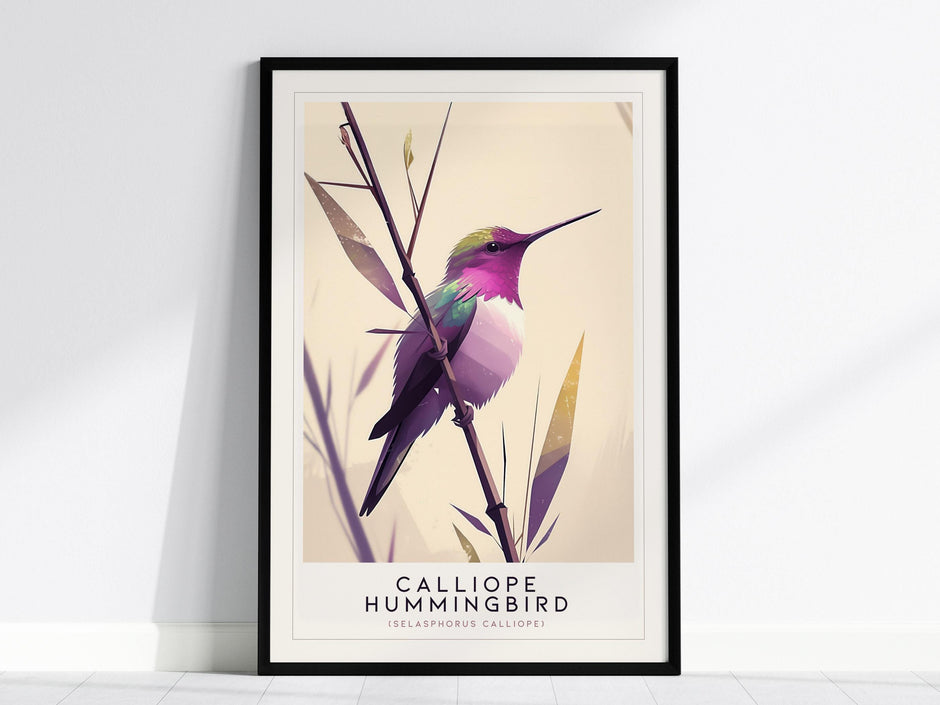 Calliope Hummingbird Bird Lover Nature Audubon Print Framed Unframed Wall Art