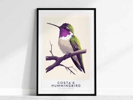 This image features a framed illustration of a Costas Hummingbird with a vibrant purple crown and green wings, perched on a branch. The artwork is displayed against a minimalistic background.