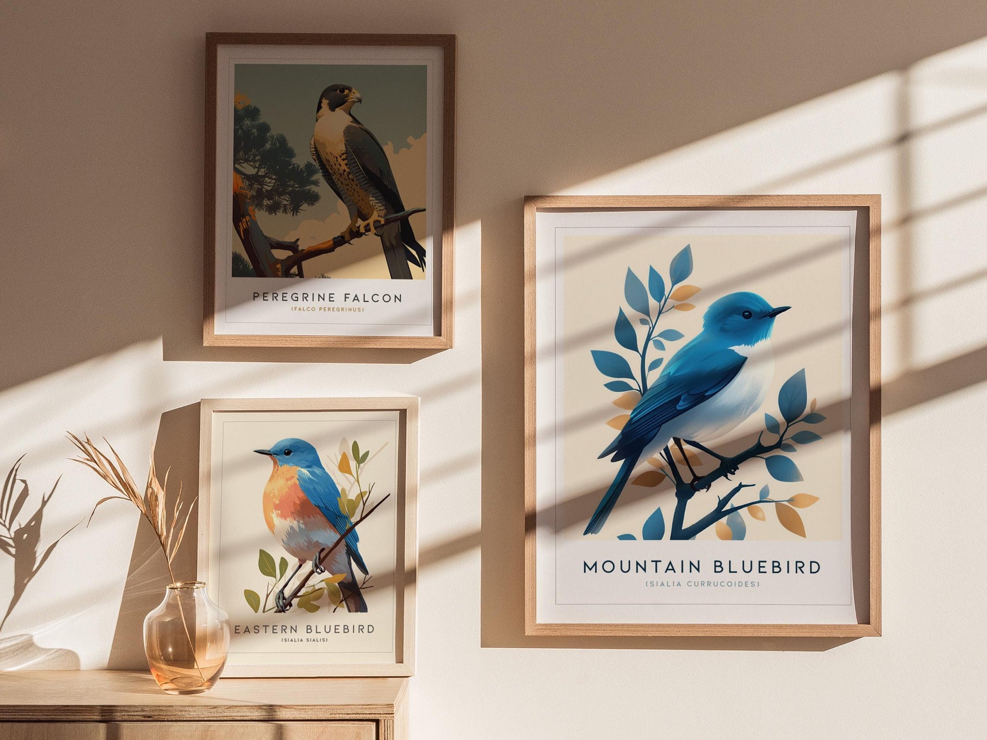 Framed prints of birds on a wall with sunlight casting shadows
