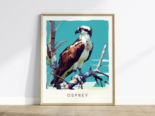 Osprey, Florida Birds Wildlife Framed Wall Art - Fish Hawk Tropical Bird Of Prey Poster Design Travel Print Home Beach Cottage Decor Set