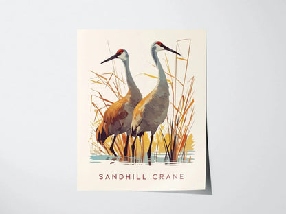 Sandhill Cranes, Florida Birds Wildlife Framed Wall Art - Iconic Bird Poster Design Travel Print Lake Home Beach Cottage Birder Decor Set