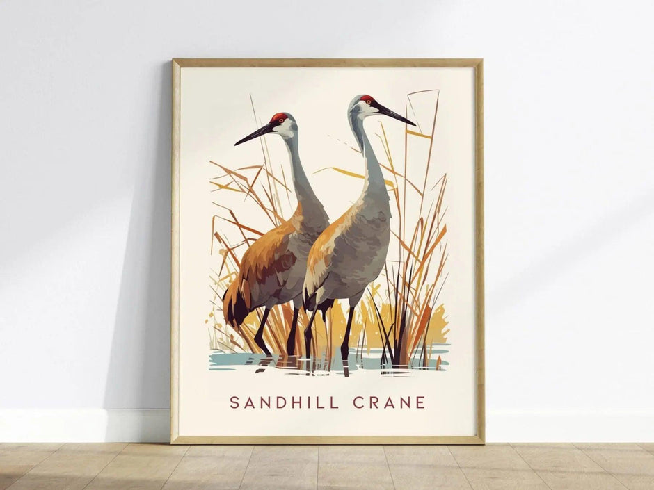 Sandhill Cranes, Florida Birds Wildlife Framed Wall Art - Iconic Bird Poster Design Travel Print Lake Home Beach Cottage Birder Decor Set - Swell Scenes