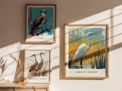 Great Egret, Florida Birds Wildlife Framed Wall Art - Native Bird Nature Poster Design Travel Print Lake Home Beach Cottage Birder Decor Set