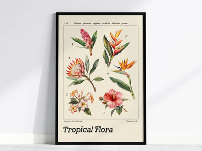 Tropical Flowers Vintage Style Scientific Illustration Framed Poster | Flower Wall Art Plumeria Floral Print | Beach House Hibiscus Home Decor