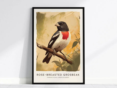 Framed poster of a Rose-breasted Grosbeak perched on a branch, showcasing its vivid rose-red breast and black-and-white plumage against a soft, artistic background.