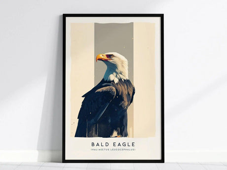 Framed artwork of a bald eagle with a white head and dark body, set against a minimalist background. The text below reads Bald Eagle (Haliaeetus leucocephalus).