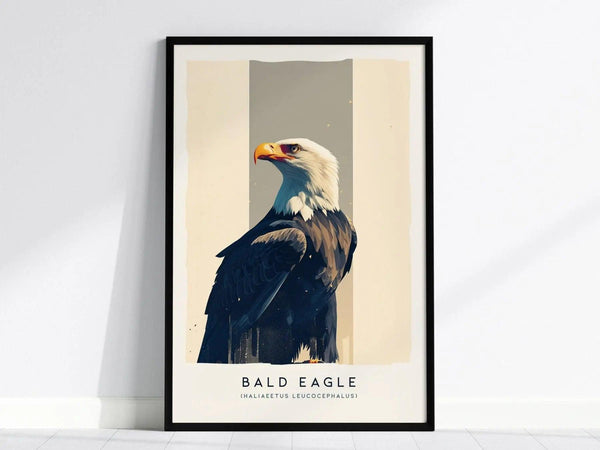 Framed artwork of a bald eagle with a white head and dark body, set against a minimalist background. The text below reads Bald Eagle (Haliaeetus leucocephalus).