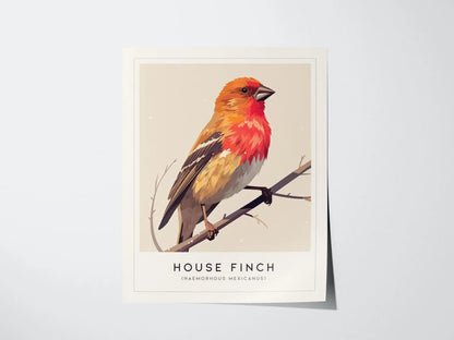 House Finch Framed Poster | Vibrant Bird Illustration Print | National Audubon Wildlife Wall Art | Bird Watcher Nature Lover Farm House Cottagecore Decor