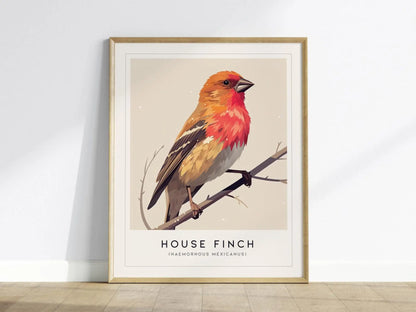 House Finch Framed Poster | Vibrant Bird Illustration Print | National Audubon Wildlife Wall Art | Bird Watcher Nature Lover Farm House Cottagecore Decor