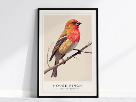 A framed poster featuring a colorful illustration of a House Finch with a rosy red head perched on a branch against a neutral background.