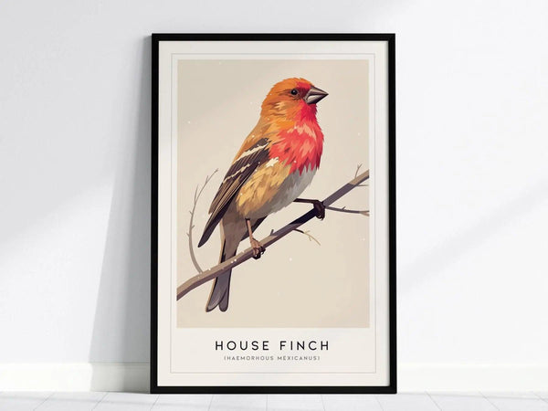 A framed poster featuring a colorful illustration of a House Finch with a rosy red head perched on a branch against a neutral background.
