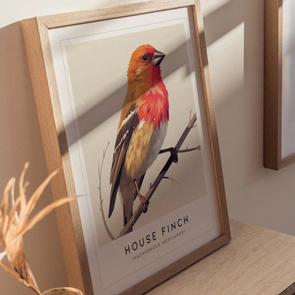 House Finch Framed Poster | Vibrant Bird Illustration Print | National Audubon Wildlife Wall Art | Bird Watcher Nature Lover Farm House Cottagecore Decor