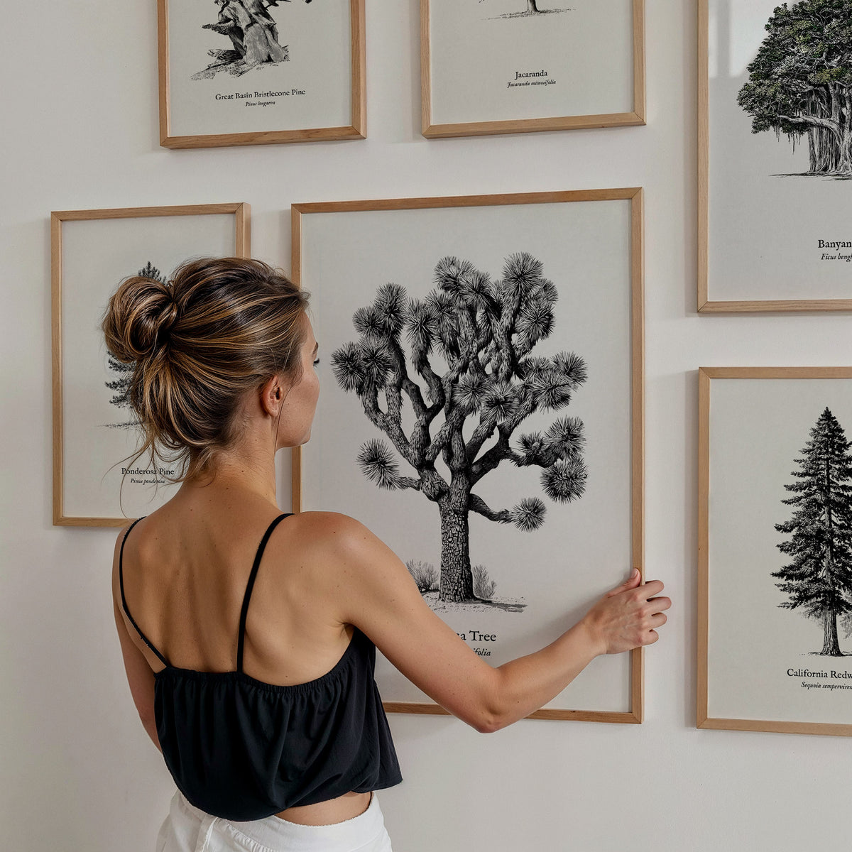 Trees Pen & Ink Gallery Wall | Ponderosa Pine | Set of 8 Matching Framed Prints — styled in a modern interior