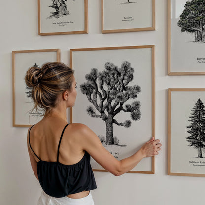 Trees Pen & Ink Gallery Wall | Ponderosa Pine | Set of 8 Matching Framed Prints — styled in a modern interior