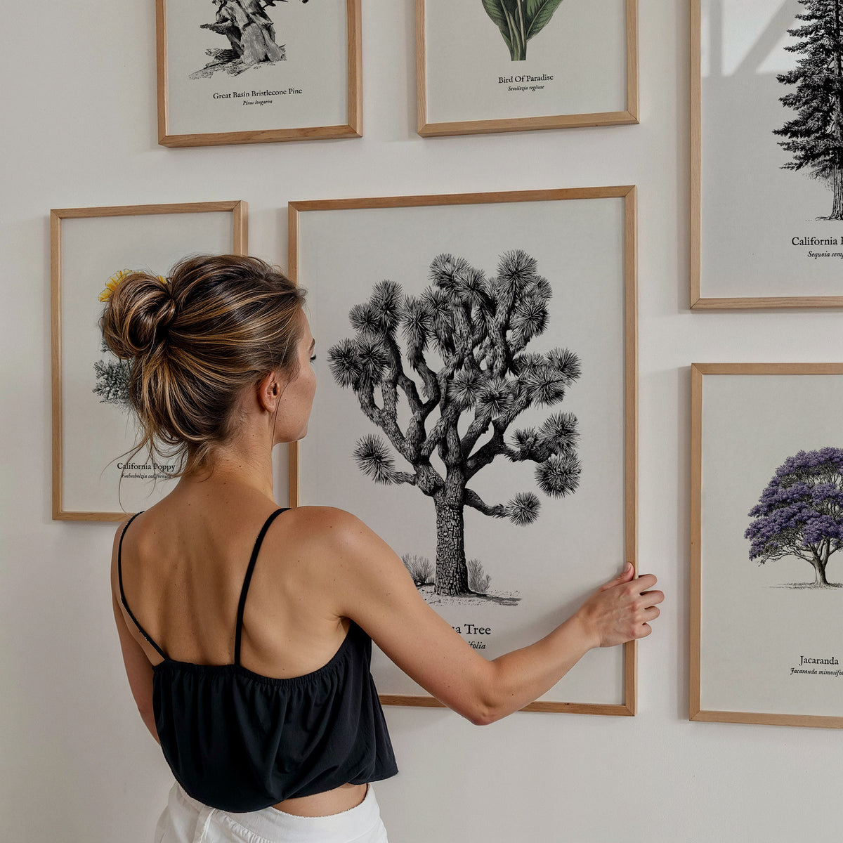 California Pen & Ink Gallery Wall | California Redwood & Jacaranda | Set of 4 Framed Prints — styled in a modern interior