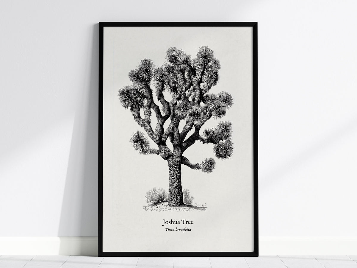 Trees Pen & Ink Gallery Wall | Joshua Tree & Banyan Tree | Set of 3 Framed Prints