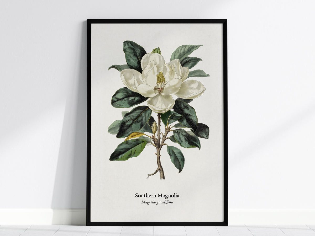 Flowers Pen & Ink Gallery Wall | Set of 4 | Botanical Prints | Living Room Decor